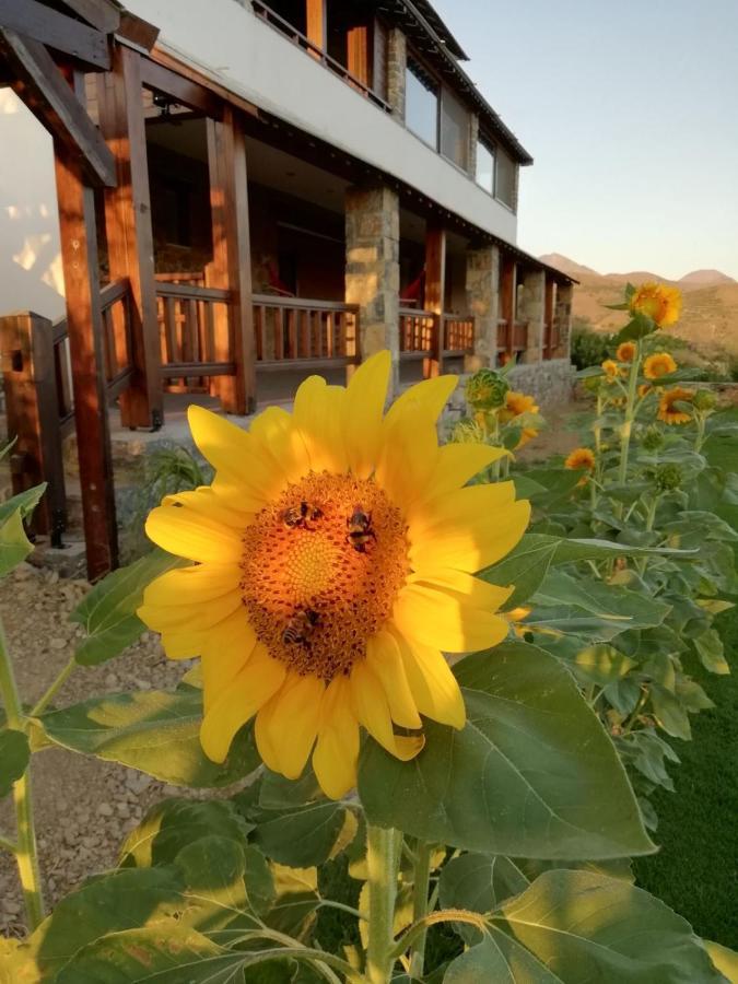 Anemomylos House Exo Mouliana المظهر الخارجي الصورة